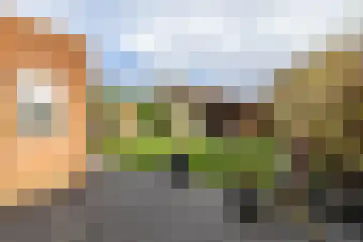 Helsterland 23 Roden thumbnail 36