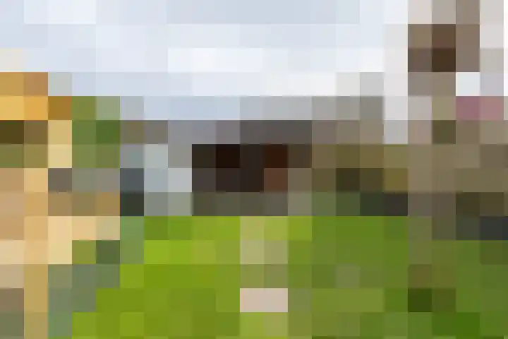 Helsterland 23 Roden thumbnail 37