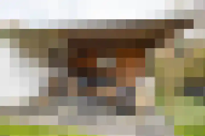 Helsterland 23 Roden thumbnail 38