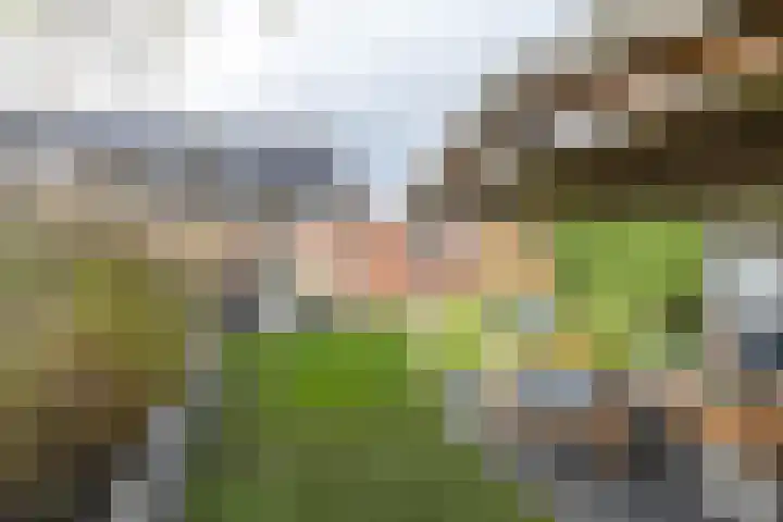 Helsterland 23 Roden thumbnail 39