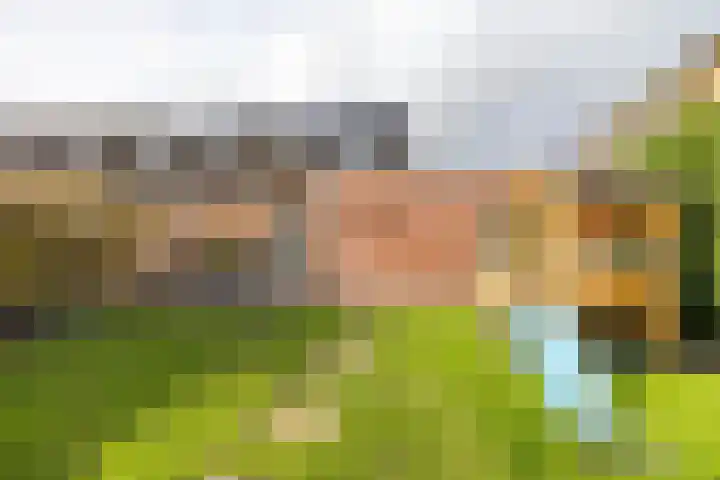 Helsterland 23 Roden thumbnail 40