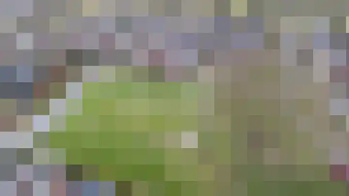 Helsterland 23 Roden thumbnail 44