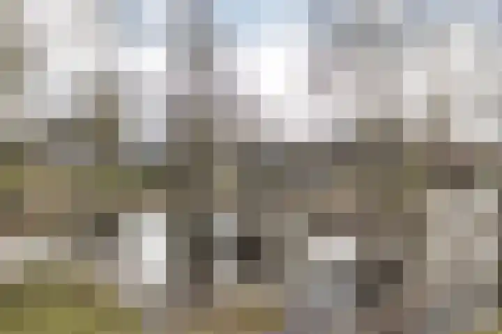 Helsterland 23 Roden thumbnail 45
