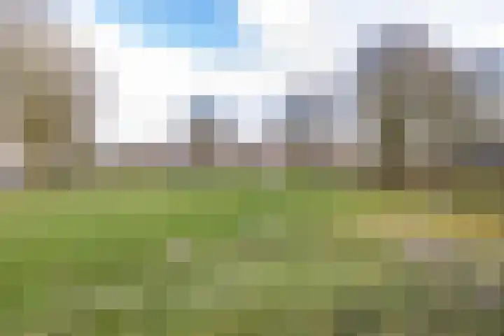 Helsterland 23 Roden thumbnail 46