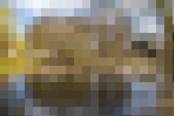 Helsterland 23 Roden thumbnail 47