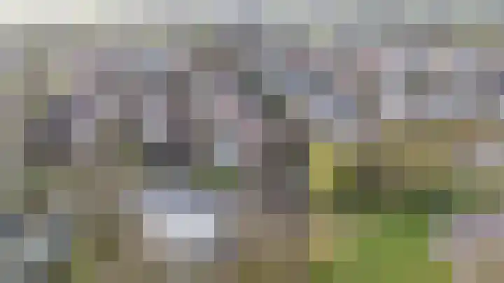 Helsterland 23 Roden thumbnail 6