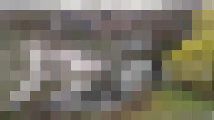 Helsterland 23 Roden thumbnail 7