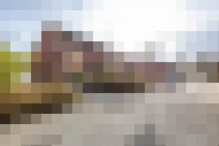 Helsterland 23 Roden thumbnail 8