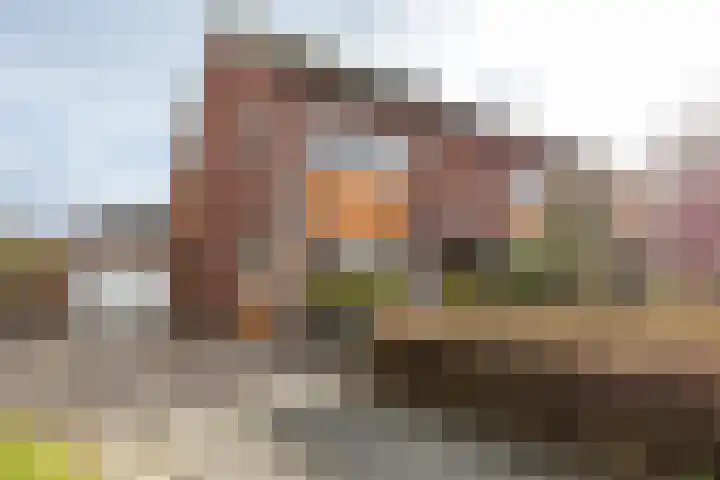 Helsterland 23 Roden thumbnail 9