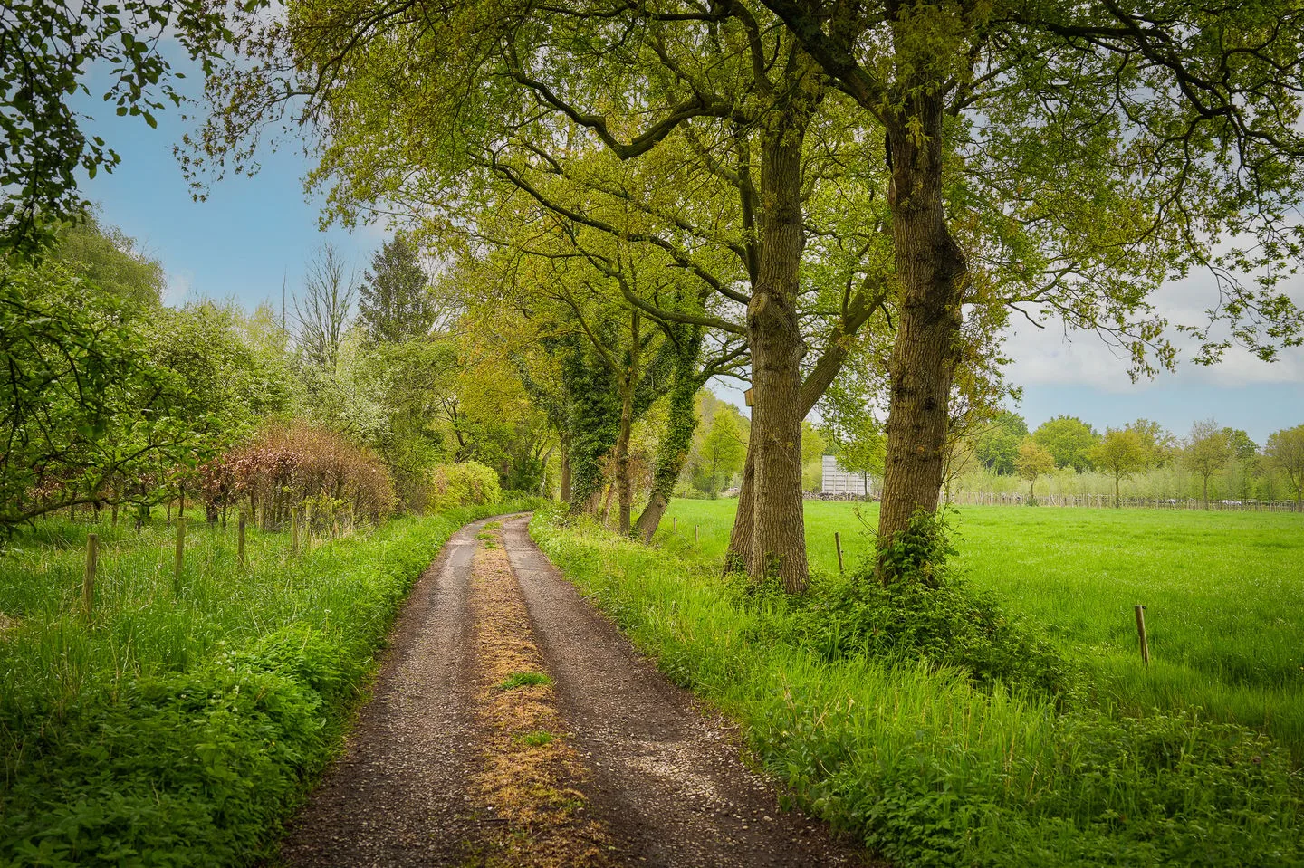Helvoirtseweg 186 A Vught thumbnail 52