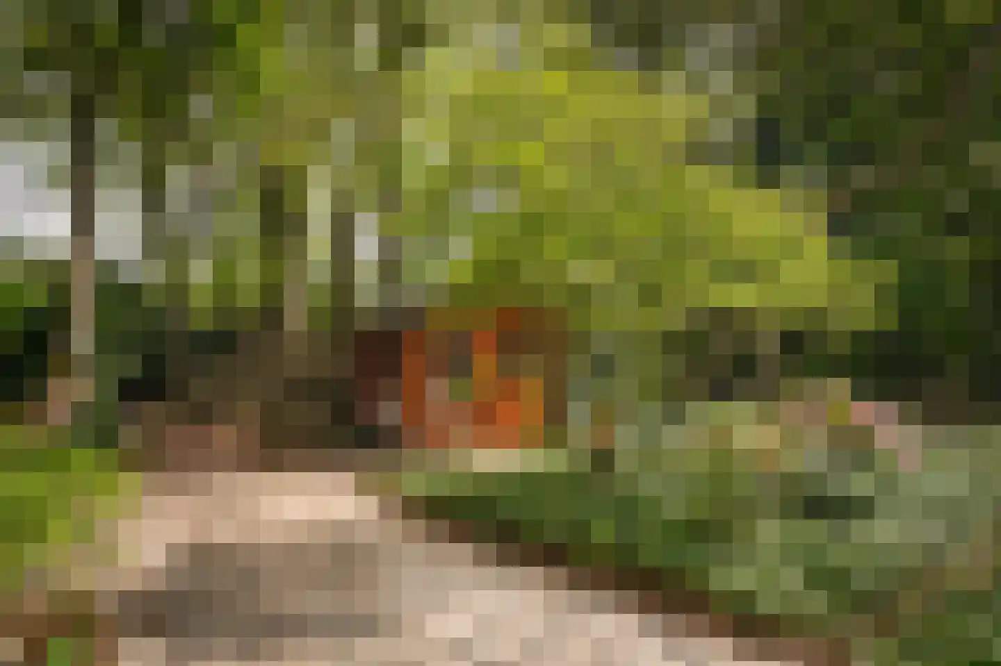 Helvoirtseweg 186 A Vught thumbnail 7