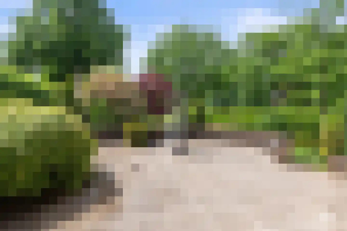 Helvoirtseweg 187 Vught thumbnail 55