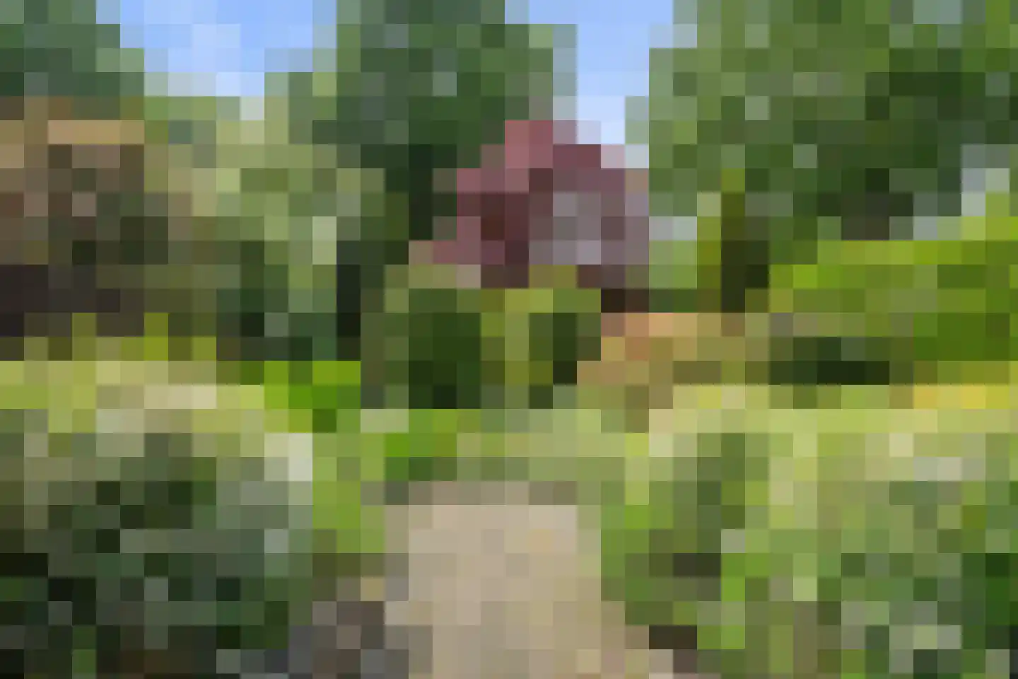 Helvoirtseweg 187 Vught thumbnail 56