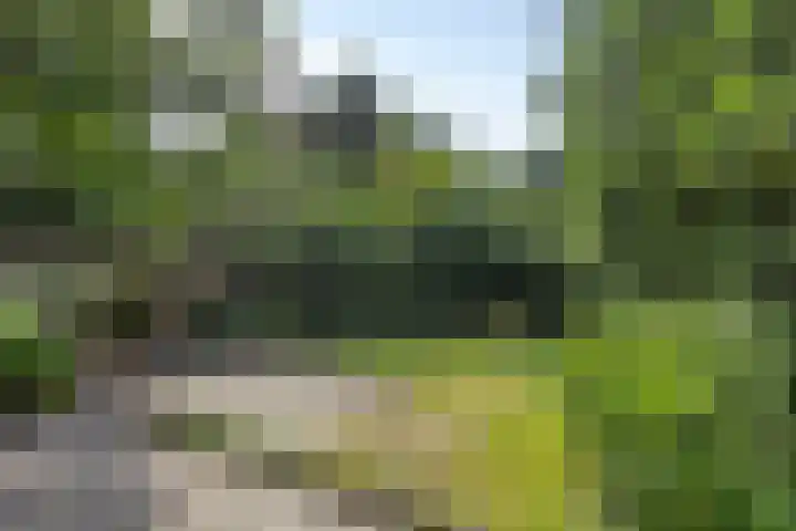 Helvoirtseweg 197 Vught thumbnail 32