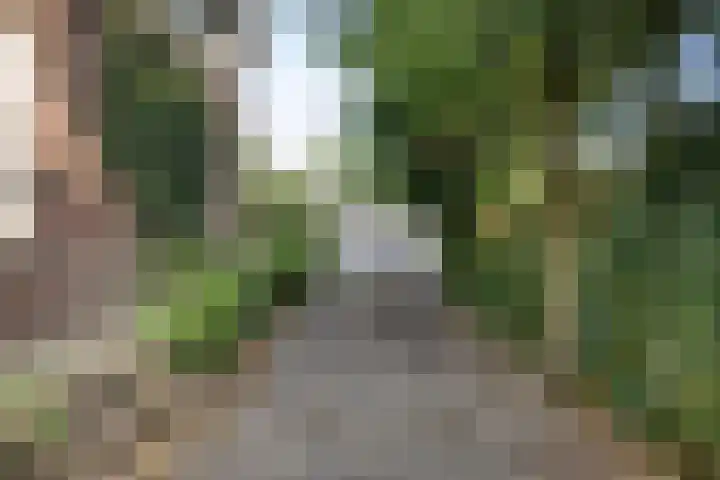 Helvoirtseweg 197 Vught thumbnail 39