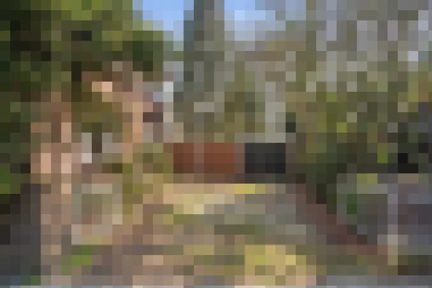 Helvoirtseweg 199 Vught thumbnail 41