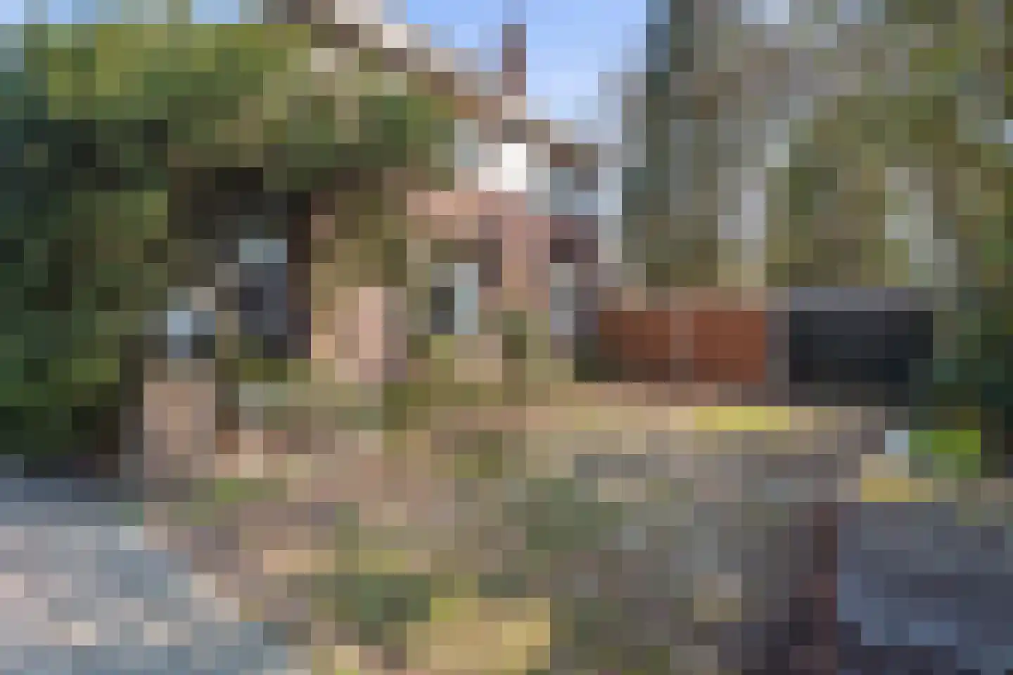 Helvoirtseweg 199 Vught thumbnail 42