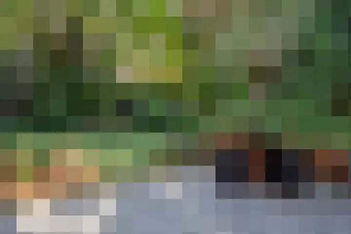 Helvoirtseweg 203 Vught thumbnail 38