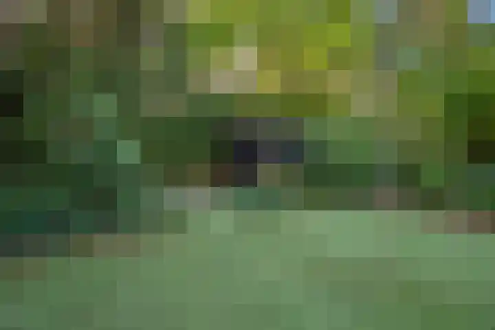 Helvoirtseweg 203 Vught thumbnail 43