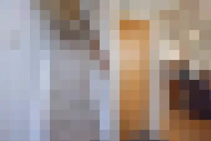 Helvoirtseweg 5 Haaren thumbnail 21