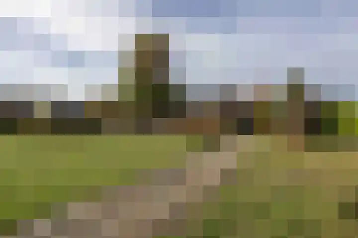 Helvoirtseweg 5 Haaren thumbnail 35