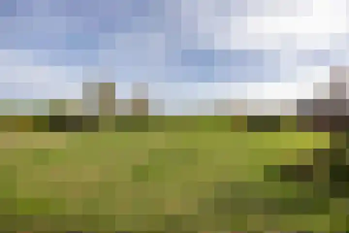 Helvoirtseweg 5 Haaren thumbnail 40
