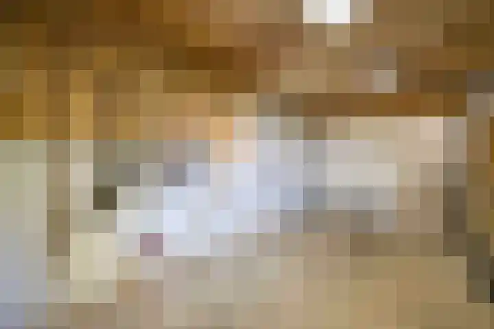Helvoirtseweg 5 Haaren thumbnail 45
