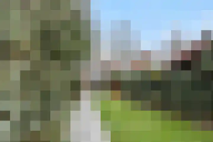 Helvoirtseweg 57 Vught thumbnail 42