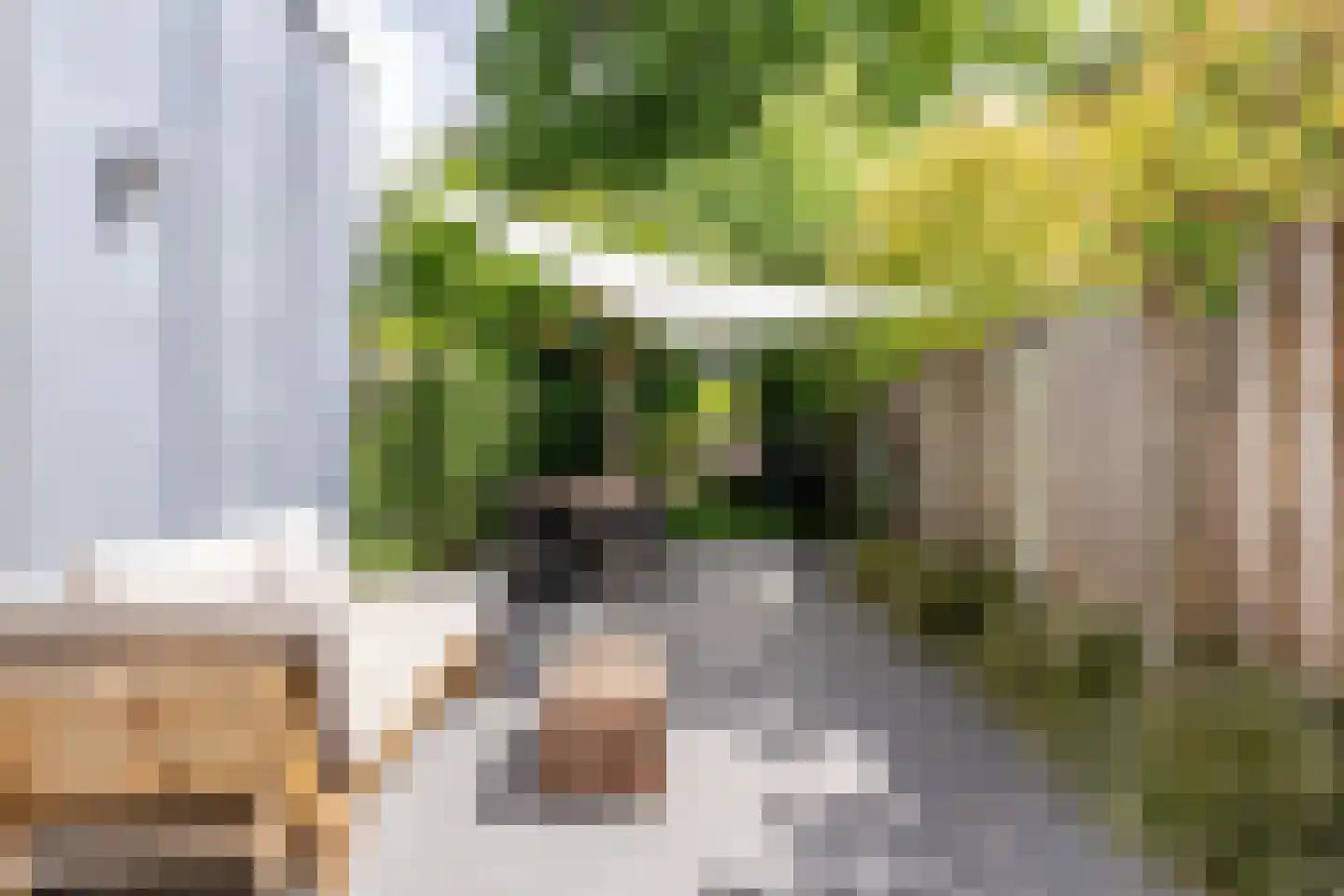 Helvoirtseweg 67 Vught thumbnail 38