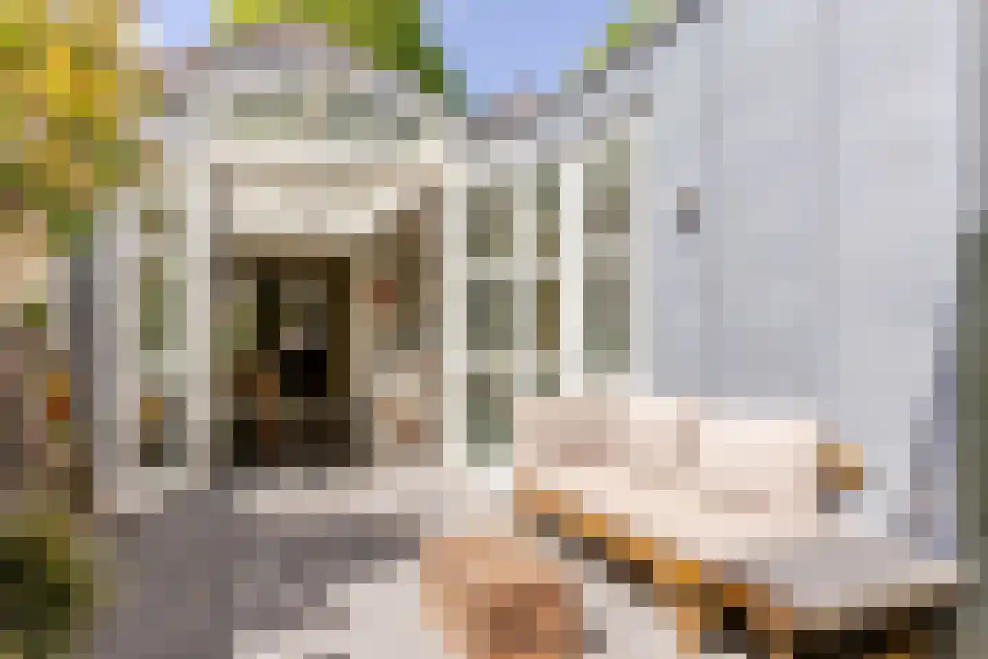 Helvoirtseweg 67 Vught thumbnail 4