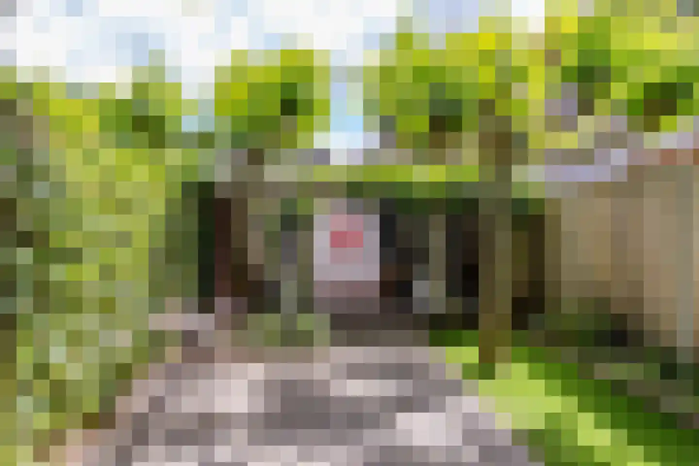 Helvoirtseweg 67 Vught thumbnail 41