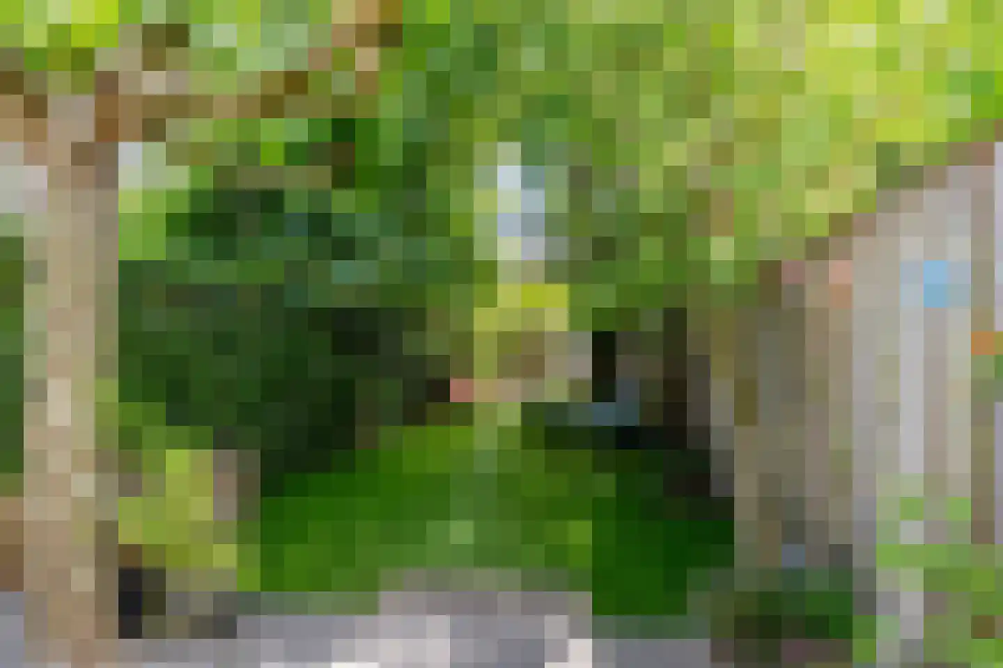 Helvoirtseweg 67 Vught thumbnail 46