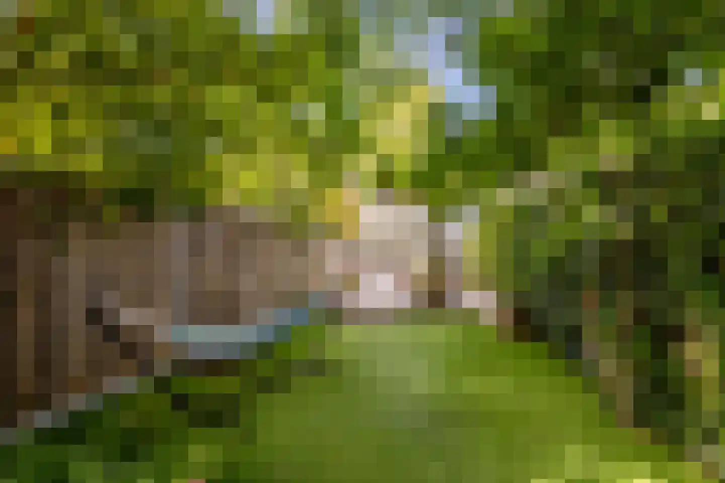 Helvoirtseweg 67 Vught thumbnail 47