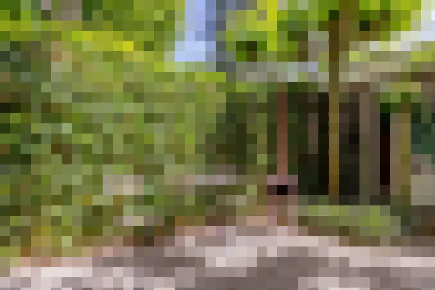 Helvoirtseweg 67 Vught thumbnail 50