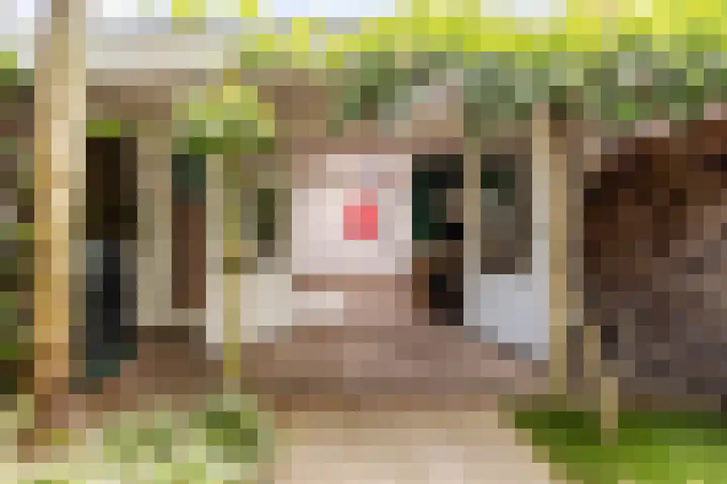 Helvoirtseweg 67 Vught thumbnail 6