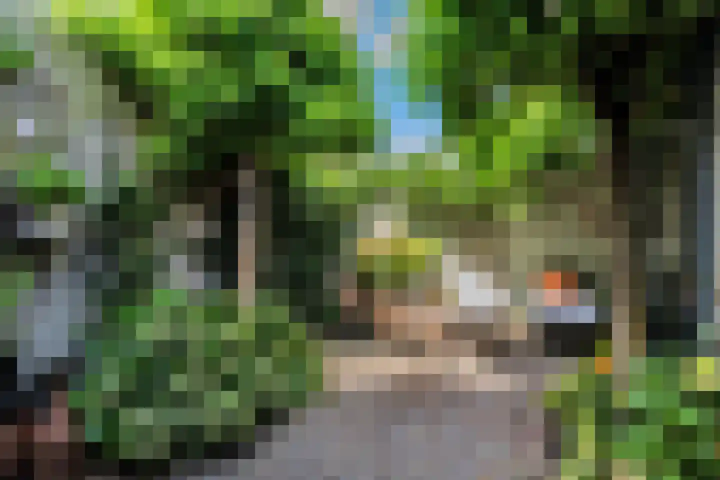 Helvoirtseweg 98 Vught thumbnail 30