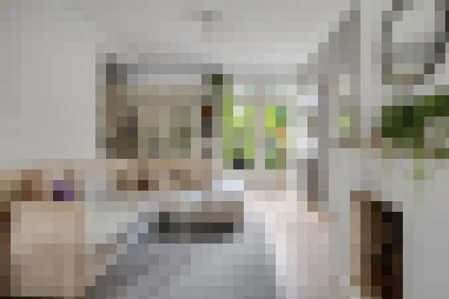 Helvoirtseweg 98 Vught thumbnail 4