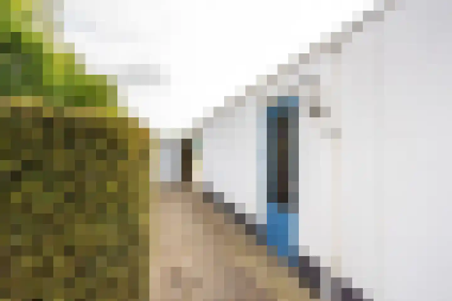 Helweg 24 Milsbeek thumbnail 38