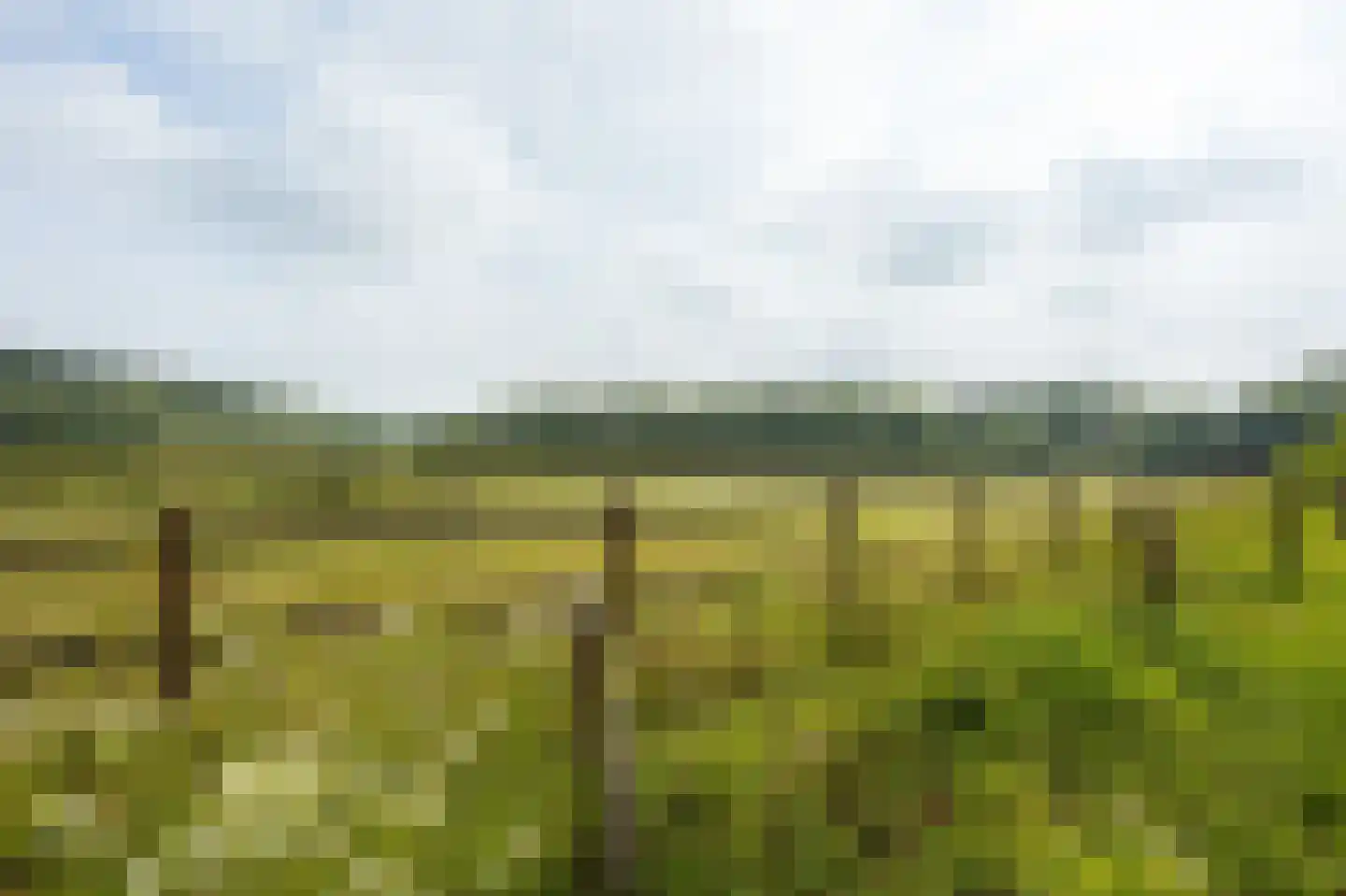 Helweg 24 Milsbeek thumbnail 41