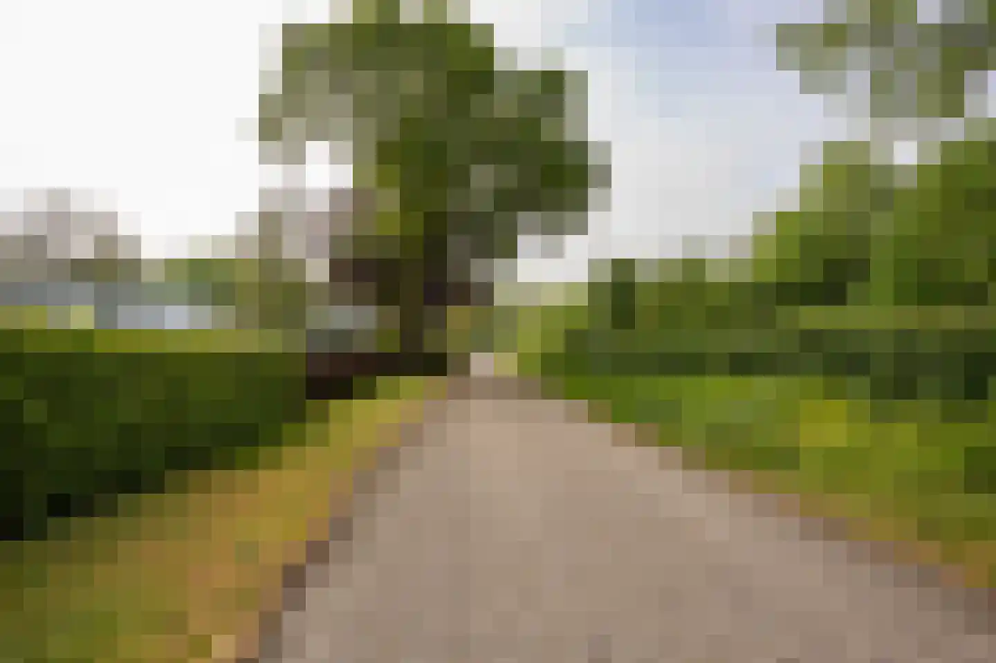 Helweg 24 Milsbeek thumbnail 43