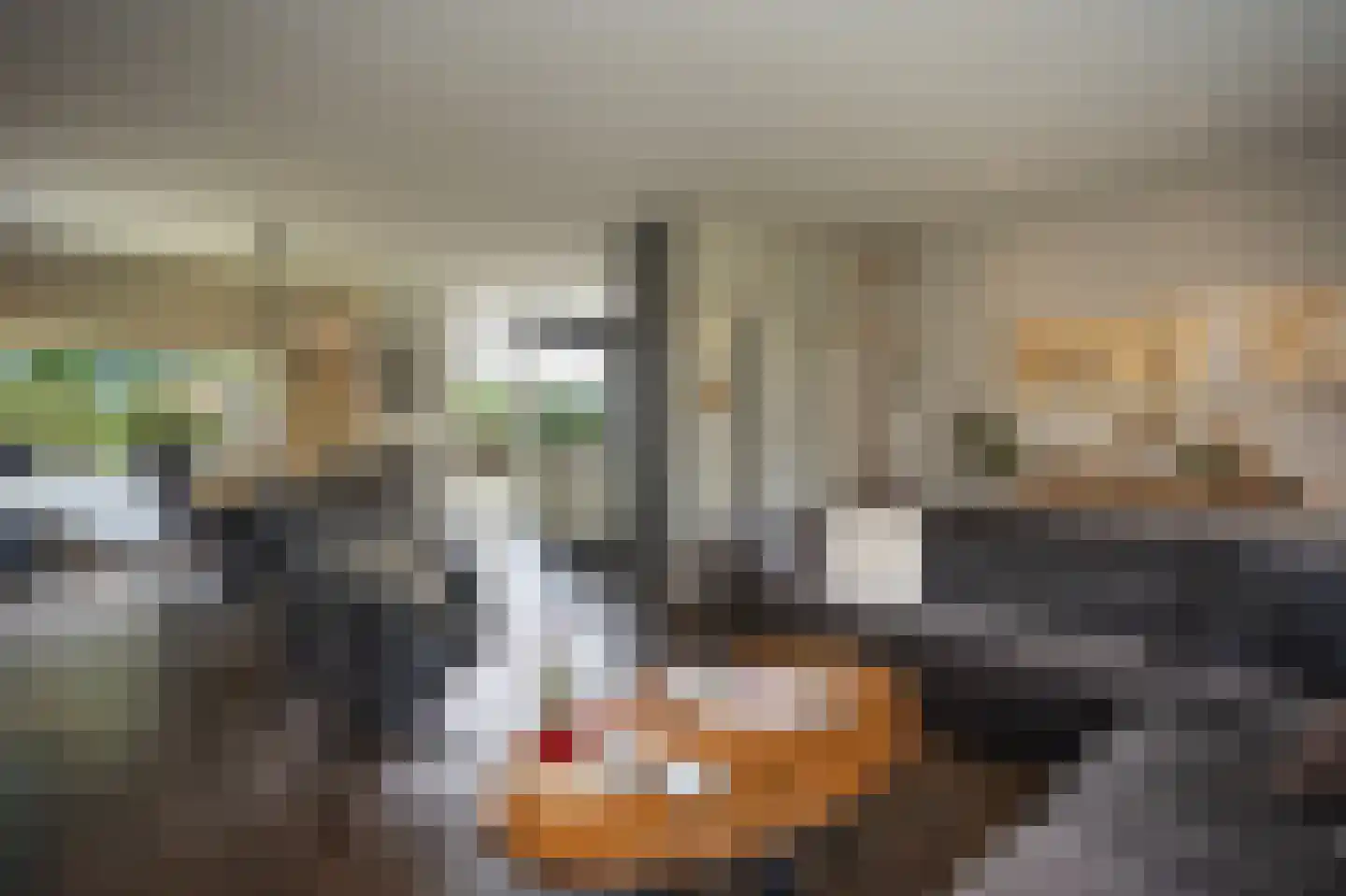 Helweg 24 Milsbeek thumbnail 7