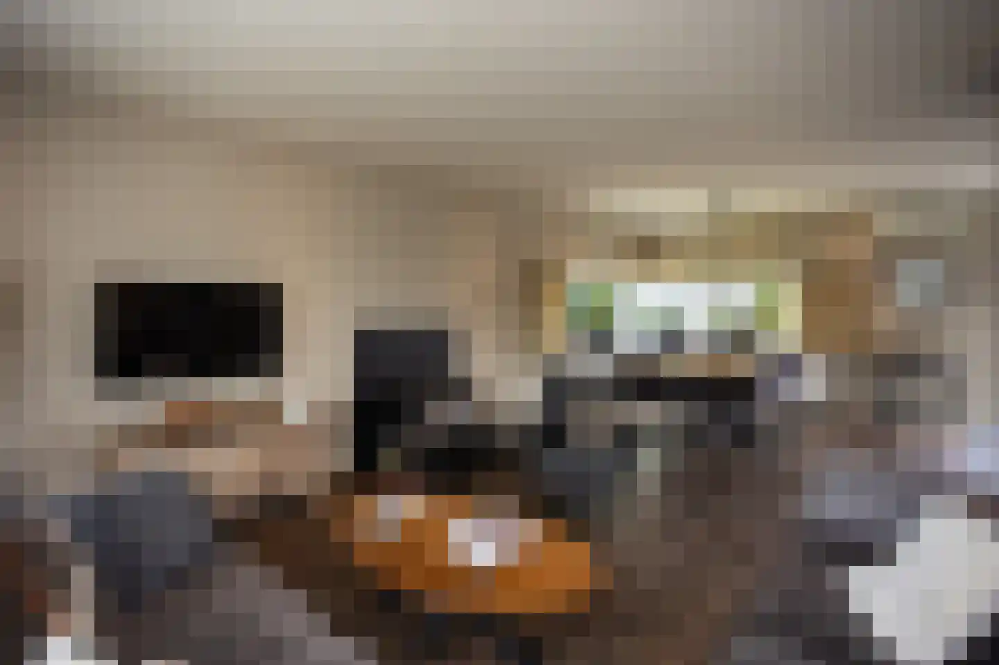 Helweg 24 Milsbeek thumbnail 9