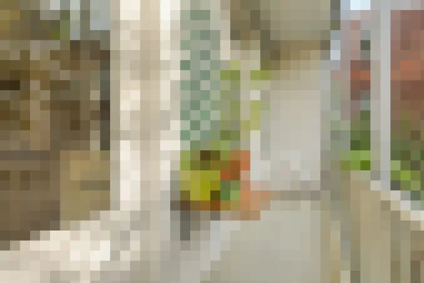 Hembrugstraat 3 2 Amsterdam thumbnail 14