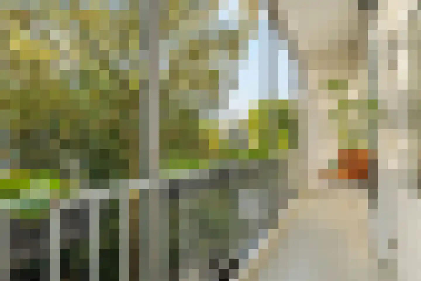 Hembrugstraat 3 2 Amsterdam thumbnail 15