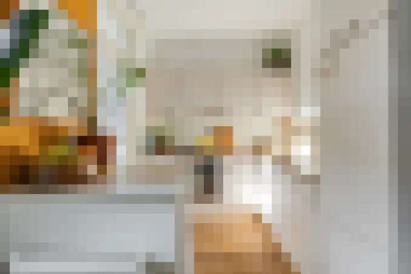 Hembrugstraat 3 2 Amsterdam thumbnail 9