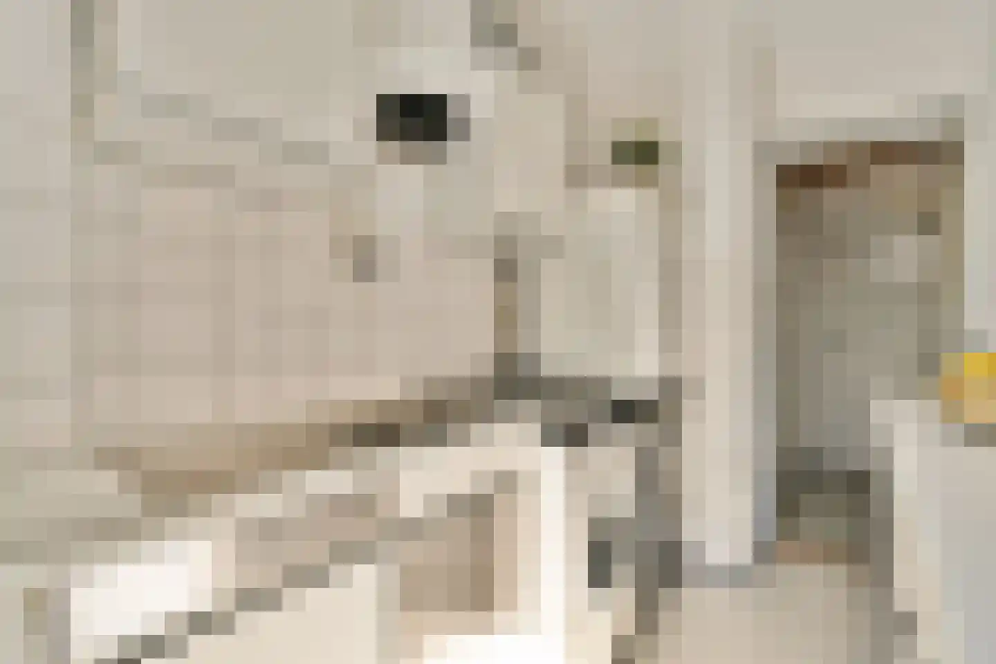 Hembrugstraat 7 1 Amsterdam thumbnail 4