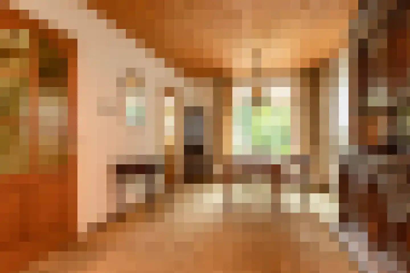 Hemdijk 11 Sneek thumbnail 10