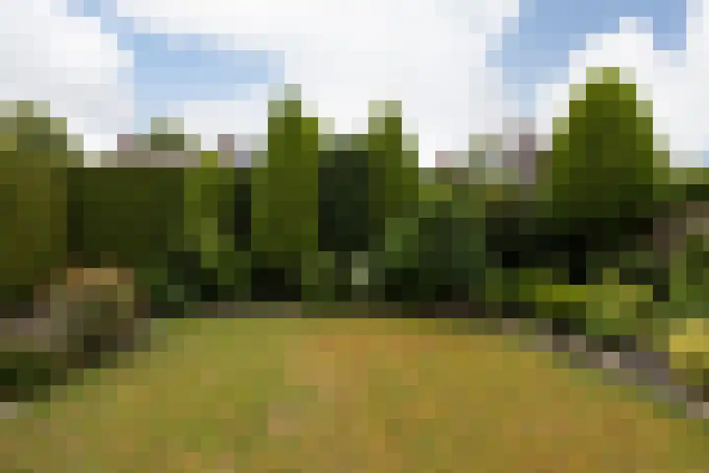 Hemdijk 11 Sneek thumbnail 38
