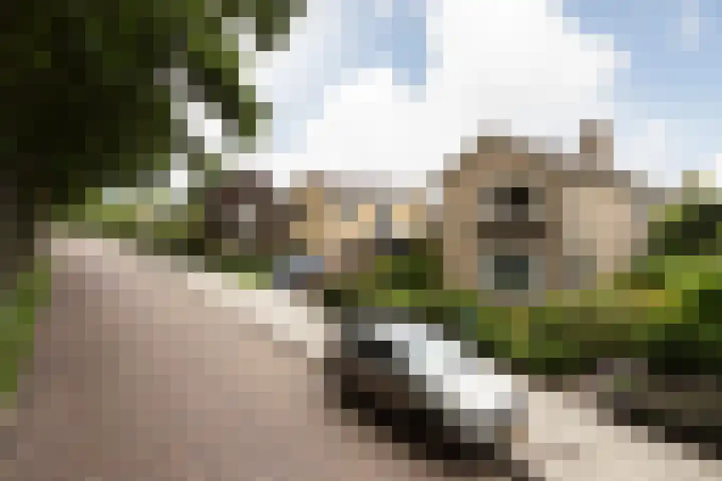 Hemdijk 11 Sneek thumbnail 4