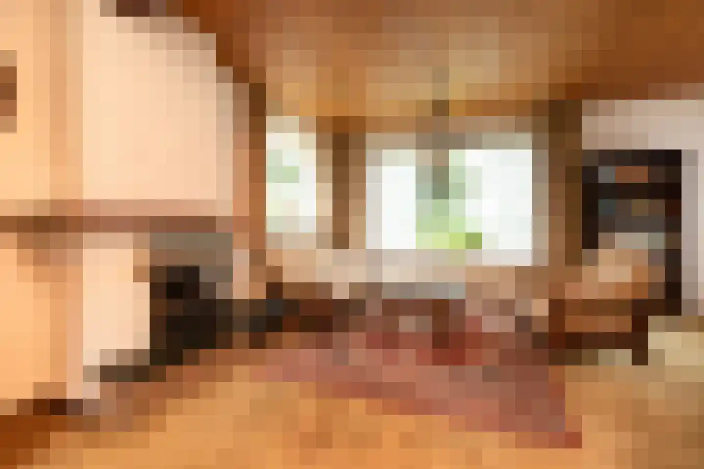 Hemdijk 11 Sneek thumbnail 6